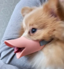 Bozal de silicona para perros, máscara bozal antimordida para perros pequeños y grandes, boquillas para la boca, accesorios de mascota perro