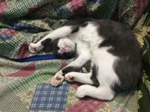 Pulsera de nailon trenzado para xiaomi Mi band 5, pulsera de nailon para xiaomi Mi band 4, 3 y 6