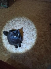 Portable Lantern Working-Torch Aa-Battery 3-Modes flashlight Camping-Lamp Flashlamp 3800-Lumen