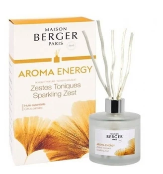 

AROMA DIFFUSER ENERGY