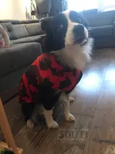 Vest Coat Jacket Pet-Dog-Clothes French-Bulldog-Pet Dogs Small Waterproof Large Winter