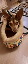 Pet-Carrier Backpack Pet-Sling-Bag Dog-Bags Travel Chihuahua Fashion Puppy Cats Dogs