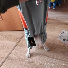 Jumpsuit Raincoat Pet-Cloak Teddy Waterproof-Jacket HOOPET Dogs Chihuahua for Small Cat