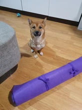 Blanket Activity-Mat Feeding-Mat Puzzle Dog-Snuffle-Mat Foraging Nosework Food-Training