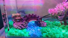 Tanque de peces de acuario decorativo Vintage puente adornos de paisaje árbol para pabellón plantas resina diseño suministros para mascotas casa Decoración