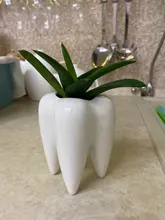 Bonsai Flower-Pot Ceramic Tooth-Shape Garden No-Plant Planting-Length Cute Hole And Or