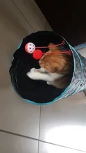 Cat Tunnel Balls Tubes Kitten-Toys Crinkle Puppy-Ferrets Pet Rabbit Play Funny 2-Holes