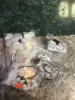 Изображение товара 5