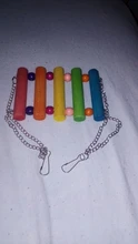 Columpio de madera Natural colorido para loros, accesorios para jaulas de pájaros y hámster, divertido, pájaro masticar, juguetes para mascotas pequeñas, columpios colgantes, 1 Uds.