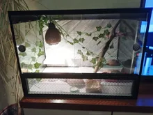 Vine Terrarium-Decoration Rest-Plants Reptile-Lizards Artificial Climb Chameleons Leaves