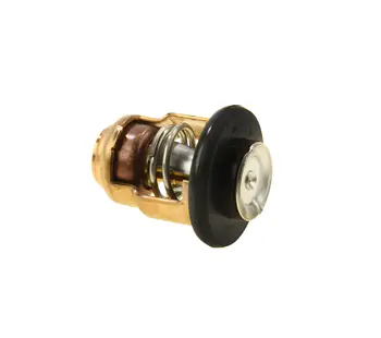 

Thermostat Yamaha f4-100 & Omega;