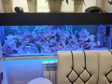 Flexible Light Lamp Ribbon-Tape Led-Strip Holiday Christma Smd 5050 Waterproof OSIDEN