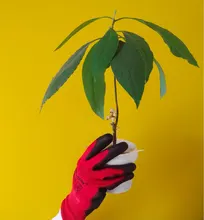 GMG-guantes de trabajo de seguridad para jardín, gran oferta, 6/12 pares, para hombre y mujer, envío rápido a Rusia