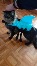 Chaleco salvavidas para perro, chaqueta salvavidas, ropa de baño para perros, traje de baño para mascotas, forma de tiburón