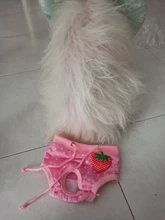 Dog Panties Physiological Pet-Dogs Menstrual-Hygiene Female Puppy Estrus Small Jeans