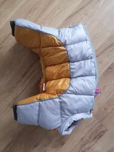 Coat Jacket Puppy Pet-Dog French Bulldog Small Dogs Waterproof Winter Super Cotton 