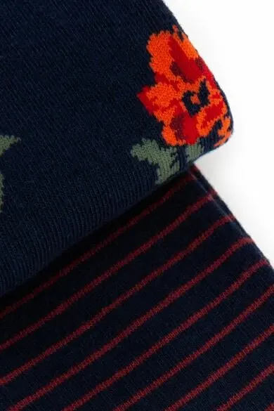 U.S. POLO ASSN. 2 пары носков