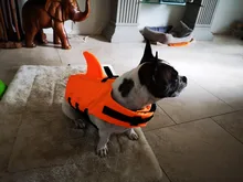 Chaleco salvavidas para perro, chaqueta salvavidas, ropa de baño para perros, traje de baño para mascotas, forma de tiburón