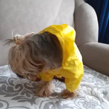 Dog Costumes Rain-Coat Waterproof Jacket Puppy Pet-Dog 4-Color Pet-Supplies XS-XXL Hot