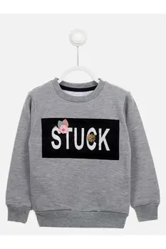 

Gray Seasonal Girl Child Sweatshirt