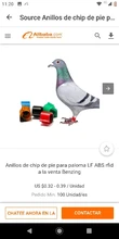 Pigeon Bird RFID Ring-Tag Training-Supplies for Tracking with 125khz 4100-Chip 10pcs/Lot