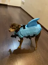 Chaleco salvavidas para perro, chaqueta salvavidas, ropa de baño para perros, traje de baño para mascotas, forma de tiburón