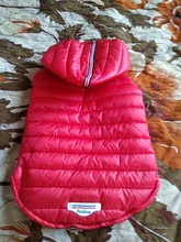 Small Dog Clothes Winter Warm Pet Dogs Coat Jacket Puppy Cat Outdoor Clothing Hoodies