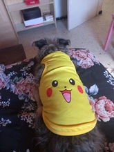 Nueva moda deportes ropa de perro T camisa traje Yorkshire Chihuahua cachorro Ropa para perros de verano perro gato camisa chaleco XS-XXL