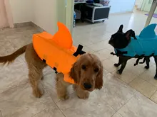 Chaleco salvavidas para perro, chaqueta salvavidas, ropa de baño para perros, traje de baño para mascotas, forma de tiburón
