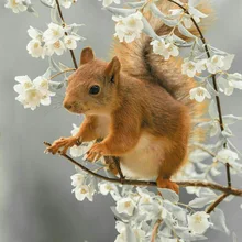 Medias de terciopelo de retales para niña, medias de baile para bebé, medias de colores combinados para niña de 3 a 12 años