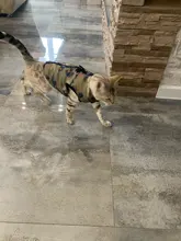 Dog Vest Pet-Supplies Down-Jacket Puppy Chihuahua Winter Windproof Small Warm Apparel