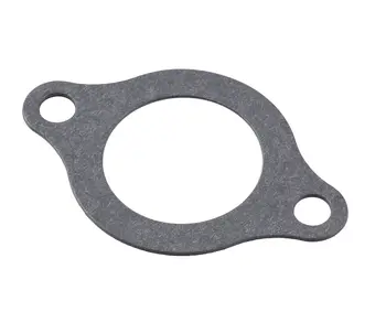 

Gasket thermostat MerCruiser 3.0, OMAX 2733918_om