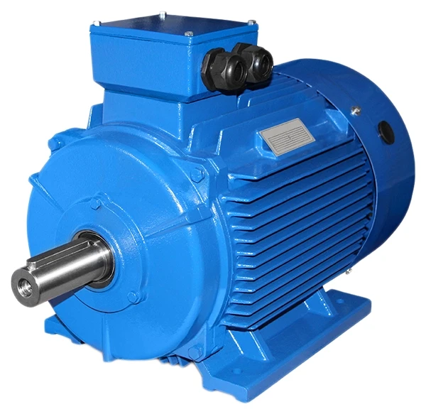 55 kw 1500 rpm). 5квт 3000об/мин. электродвигатели 6 кв 315 квт. электродвигатель 6 квт. электродвигатель аир 80 в4.