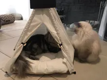 Tienda de campaña portátil para mascotas, casa para animales domésticos con cojín grueso, disponible en 6 colores, para cachorros, perros, gatos, de interior y exterior, ideal para ir de excursión