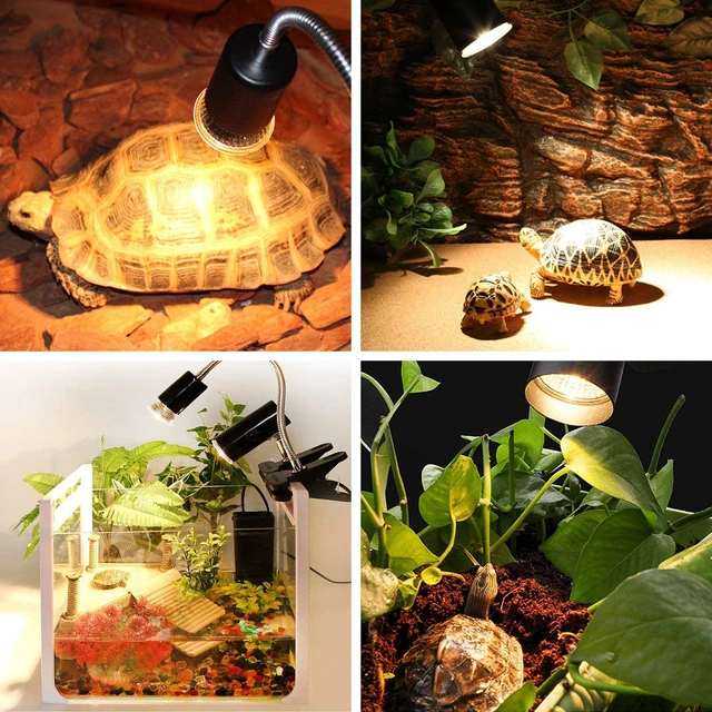 ALIAS Lampe chauffante reptiles avec fonction de gradation noir