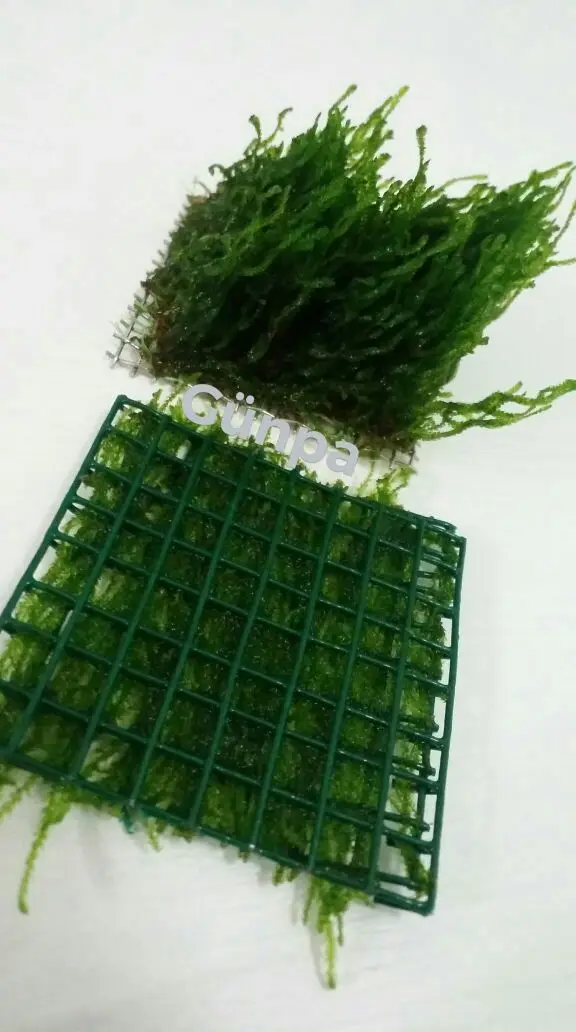 Пламени мох 5x5 из сетчатой ткани