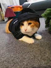 Cat Clothes Pet Cat Coats Jacket Hoodies For Cats Outfit Warm Pet Clothing Rabbit Animals