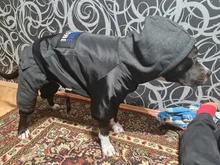 Dog-Coat Winter HOOPET for Dogs Clothing Warm Christmas Big