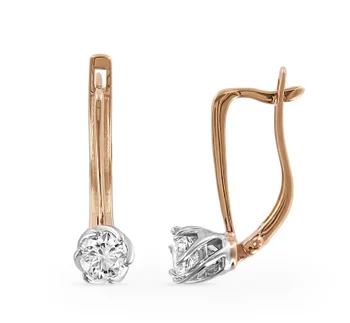 

Earrings/Altin/585