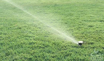 

SPRINKLER