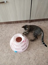 Juguete para gatos de 3 niveles, divertido juguete de torre con pistas de discos para gatos, placa de entretenimiento de inteligencia para gatos