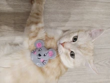 New Catnip Toy, Huggie the Gray Mouse, Fun Cat Toy with Real Catnip Inside