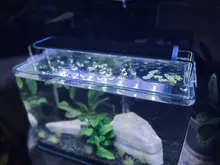 Luz LED para acuario superfino, iluminación para cultivo de plantas acuáticas, lámpara de Clip brillante impermeable, LED azul de 18-75cm para plantas de 220v