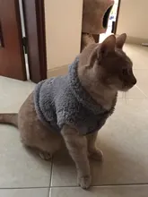 Ropa de Gato caliente para mascotas, abrigo, chaqueta para perros pequeños, medianos, gatos, Chihuahua, ropa de Yorkshire, disfraz rosa, S-2XL