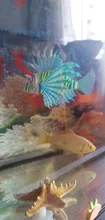 Underwater-Ornament Aquarium Silicone Jellyfish Fish-Tank Aquatic-Landscape Artificial
