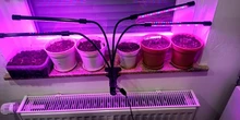 Phyto-Lamp Grow-Light Flower Seedlings Goodland USB Full-Spectrum For Plants LED 