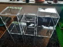 Terrario de reptil de insectos, caja de plástico transparente para alimentación de comida en vivo, serpiente, lagarto, Rana, casa, suministros para mascotas