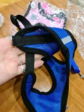 Cat-Harness Leash Mesh Bulldog Cats Small Dog Kitten Chihuahua French Breathable Nylon