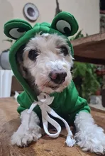 Dog Winter Warm Clothes Cute Plush Coat Hoodies for bulldog Pet Costume Jacket