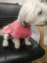 Coat Dress Teddy Poodle-Clothes Puppy Small-Pet Dog Winter Autumn with Letter Bowknot